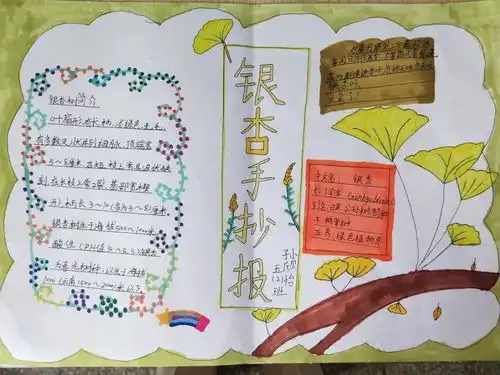 银杏与南孔文化