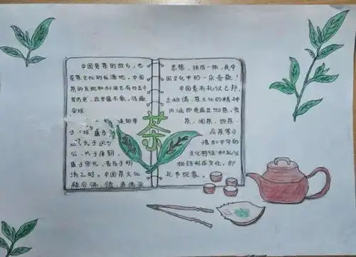 普洱茶知识大汇总从子手抄报到选购指南,一文解决你的所有疑问