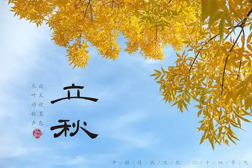 立秋到,少辛增酸多润肺,秋膘别乱贴