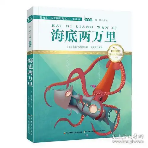 孔网分类