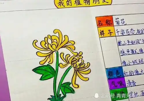 家长晒三年级学霸的手抄报,字迹堪比教科书,成家长传阅焦点