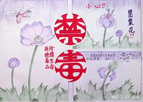 中华人民共和国禁毒法你知多少