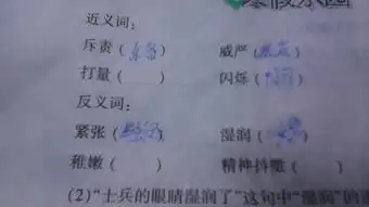 近义词反义词