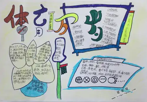 体育手抄报图片大全