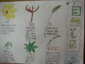 这个夏天,我们在自然相遇,