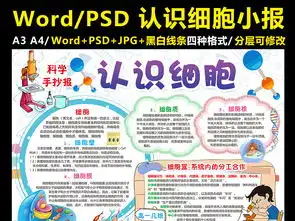 认识细胞小报化学生物手抄报科学电子小报图片素材worddoc模板下载161.95mb科学手抄报大全学科手抄报