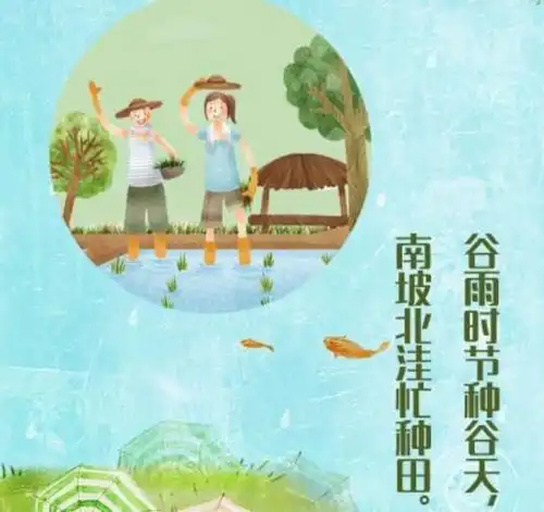 谷雨的手抄报怎么写字
