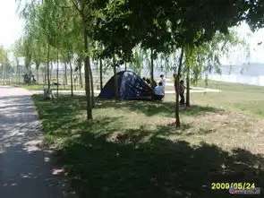 我们身边的浑河晚渡