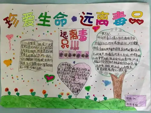 做手抄报,学禁毒知识南头这所学校的同学们行动了起来
