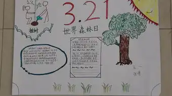 世界森林日手抄报图片