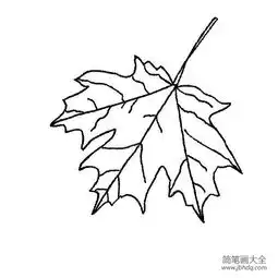 多种树叶简笔画画法
