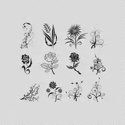 cdr时尚玫瑰花纹