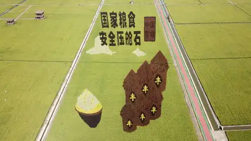 黑龙江勇闯新路五年间