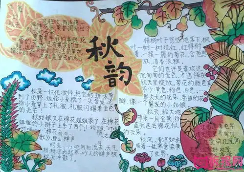 美丽的秋天手抄报,秋韵