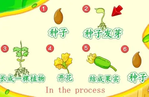 在的过程中用英语怎么说