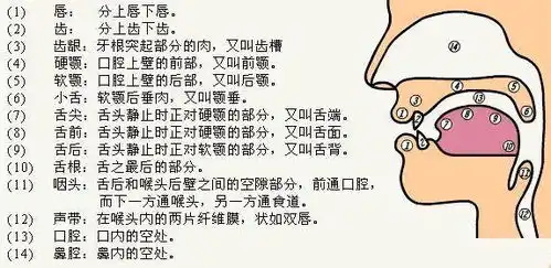 说话不清晰怎么办原来是这五大原因