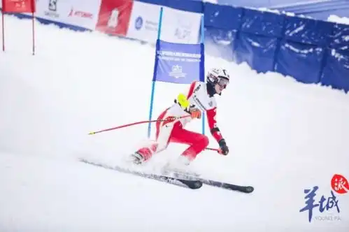 南国花城迎冬奥首届湾区冰雪文化节来啦