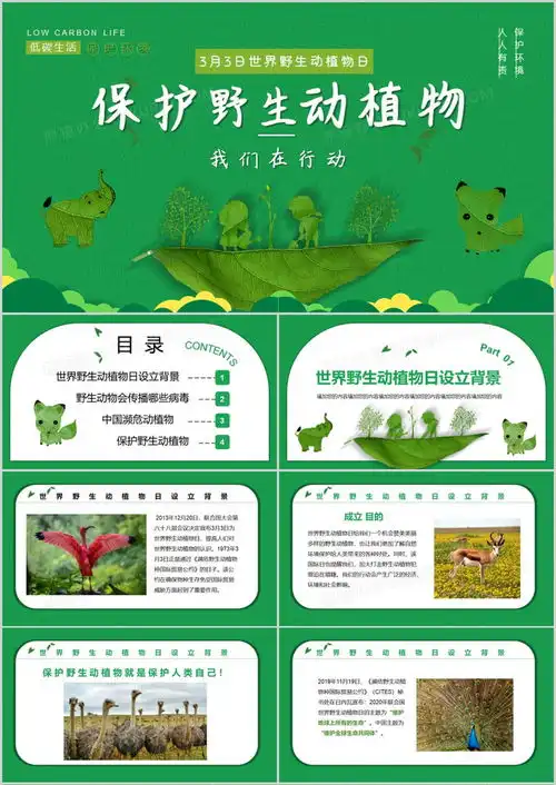 小清新保护野生动植物我们在行动ppt模板下载熊猫办公