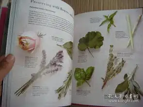 jamschutneyspreservingtheharvest.150recipes果酱和酸辣酱英文原版食谱图文册,16开精装224页全铜版纸重
