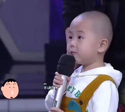 他3岁上央视5岁上春晚,回归学校不愿学习,今销声匿迹