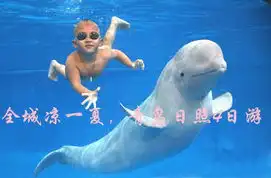 打印郑州到青岛日照4日游汽车往返cncn.com
