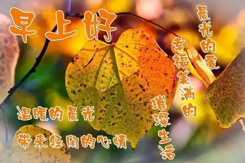 你不努力,谁也给不了你想要的生活,早安