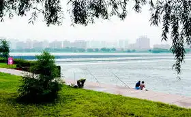 浑河晚渡万人慢跑,火
