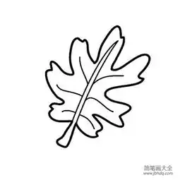 各种各样的树叶简笔画大全