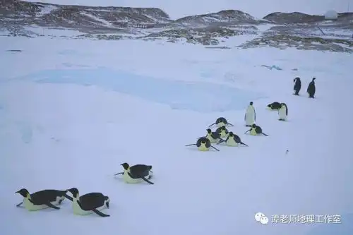 话说,南极和北极那个更冷南极北极最新照片,让人后背发凉