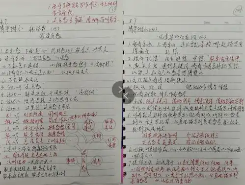 其实他们比你想象中的更拼