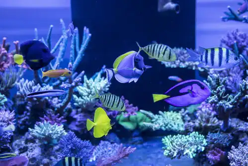 青岛经济职业学校西藏班开展秋季研学实践活动凤凰网青岛