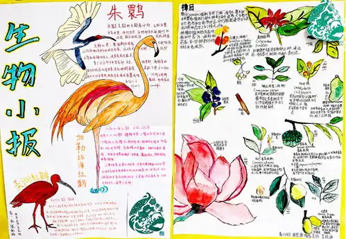 cop15相约共数家珍生物多样性科普展