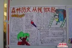 2019最新3.21世界森林日手抄报,保护森林我们共同努力苗苗板报网