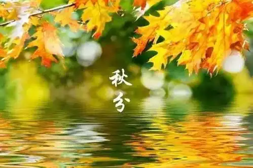 二十四节气之秋分饮食攻略