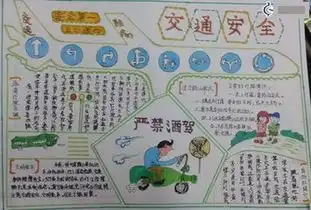 有哪些小学生安全交通安全手抄报