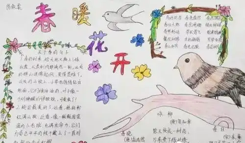 三月,你好描写春天的好词好句手抄报,与你共赏春暖花开