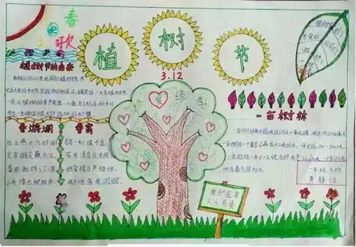 植树节手抄报闪亮登场,喜欢的速度保存