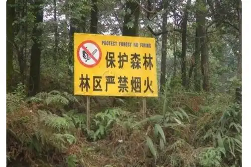 森林防火期为几月几日到竖年的几月几日