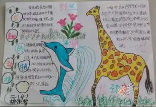 有趣的动物植物手抄报图片大全资料