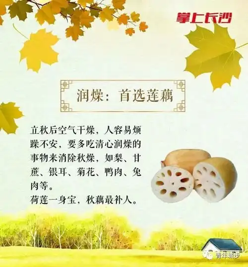 立秋养生有讲究,送你一篇养生文,不看亏大了