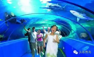 惊爆一个青岛小嫚的征婚启事刷爆了朋友圈