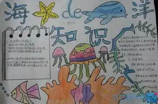 海洋手抄报内容,越详细越好