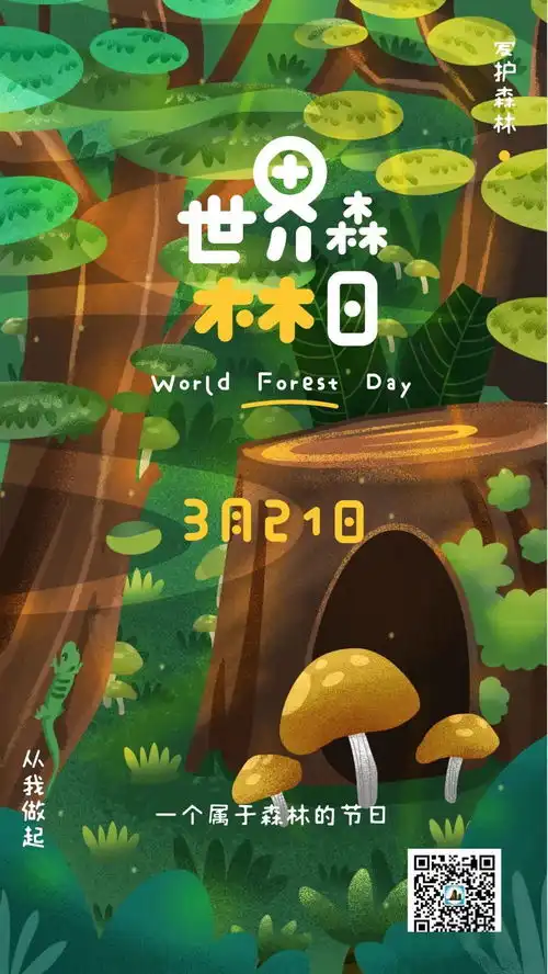 世界森林日,一个属于森林的节日