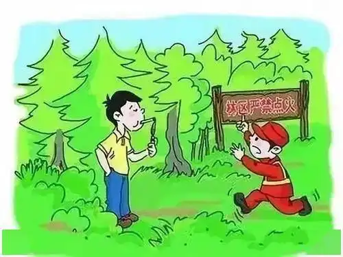 护林防火森林防火十不要