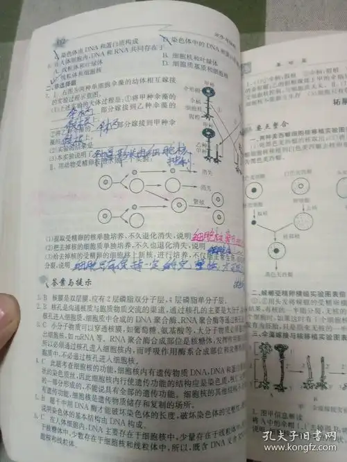龙门专题高中生物分子与细胞