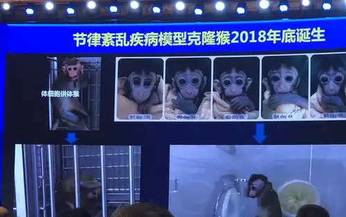 脑图谱大科学计划启动上海脑机接口正在推进