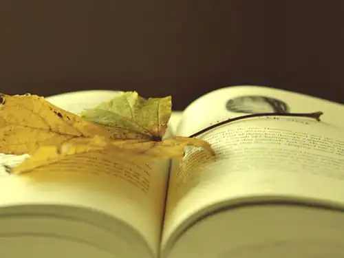 活学活用,才能取准用神
