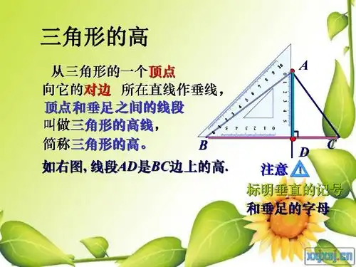 七年级数学7.1.2三角形的高中线与角平分线下载