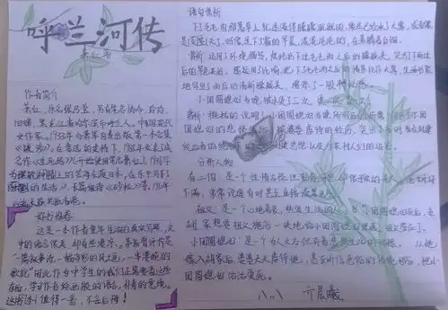 初中呼兰河传手抄报内容