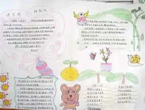 小学生手抄报内容安全常识有本经